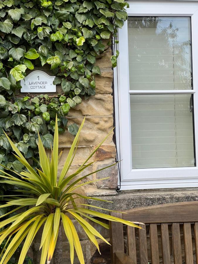 Lavender Cottage , Grewelthorpe , Nr Masham Ripon Exterior foto